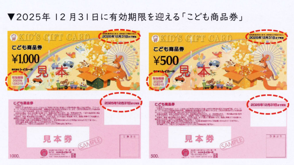こども商品券1万円分（1，000円×10枚）/期限2022年12月31日まで/トイ 
